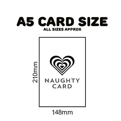 Birthday Card Size Guide A5 Birthday Card from NaughtyCard