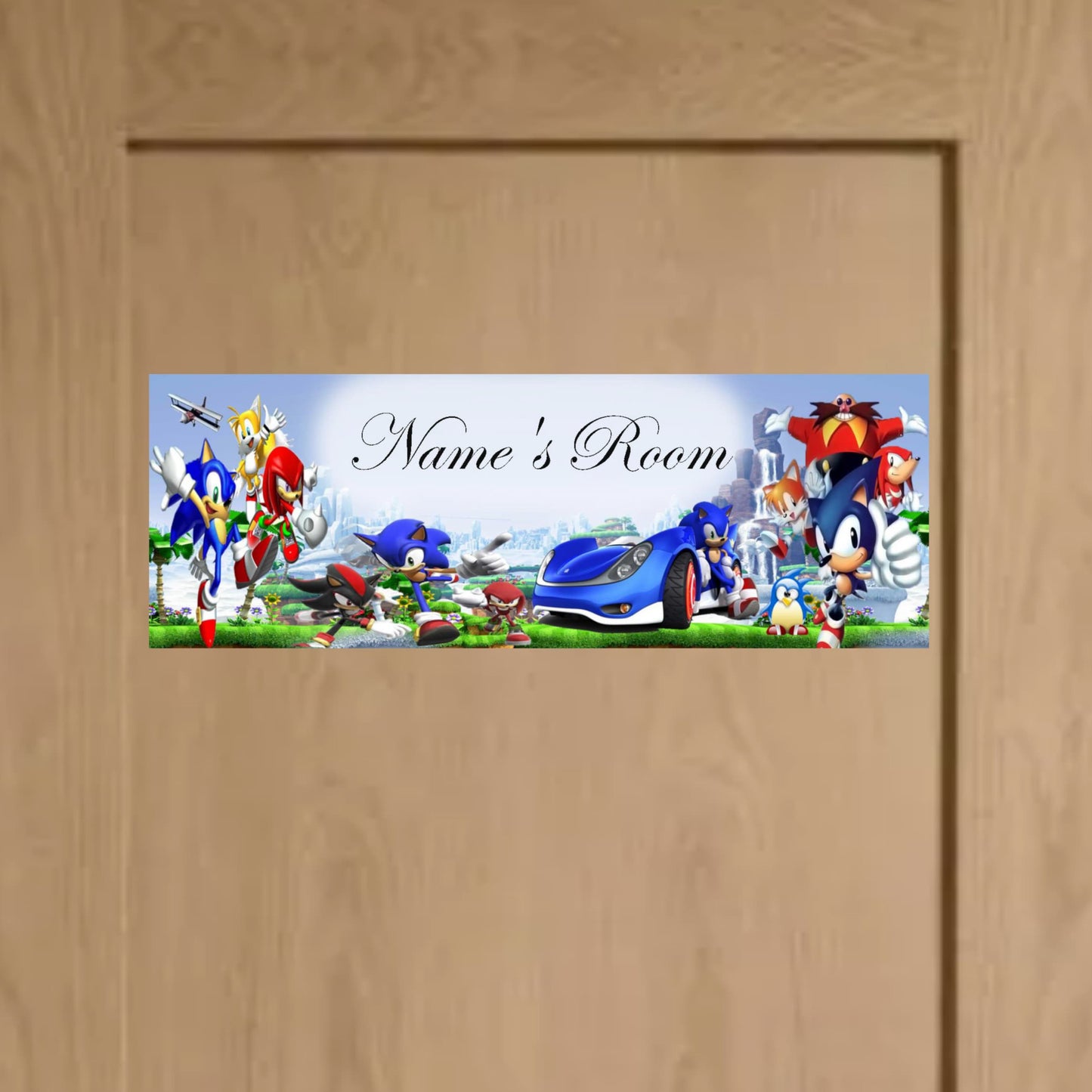 Sonic Metal Door Sign