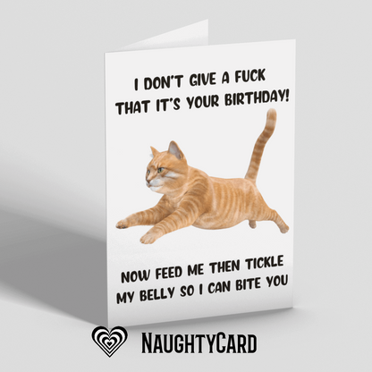 Birthday card from the cat from naughtycard, front view