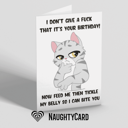 Adult Birthday card from the cat. Front view. From NaughtyCard