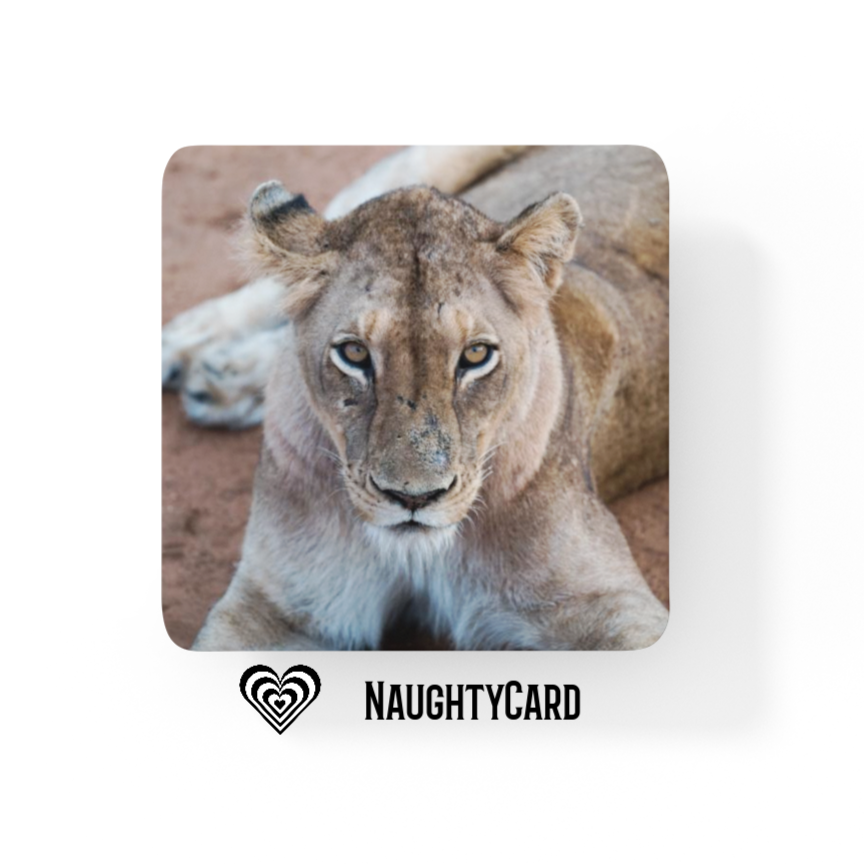 Animal Glass Coaster, Lion, Naughtycard