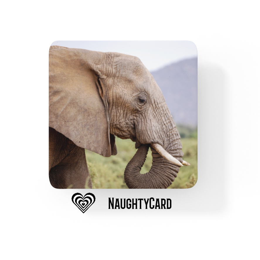 Elephant Coaster Christmas Gift 