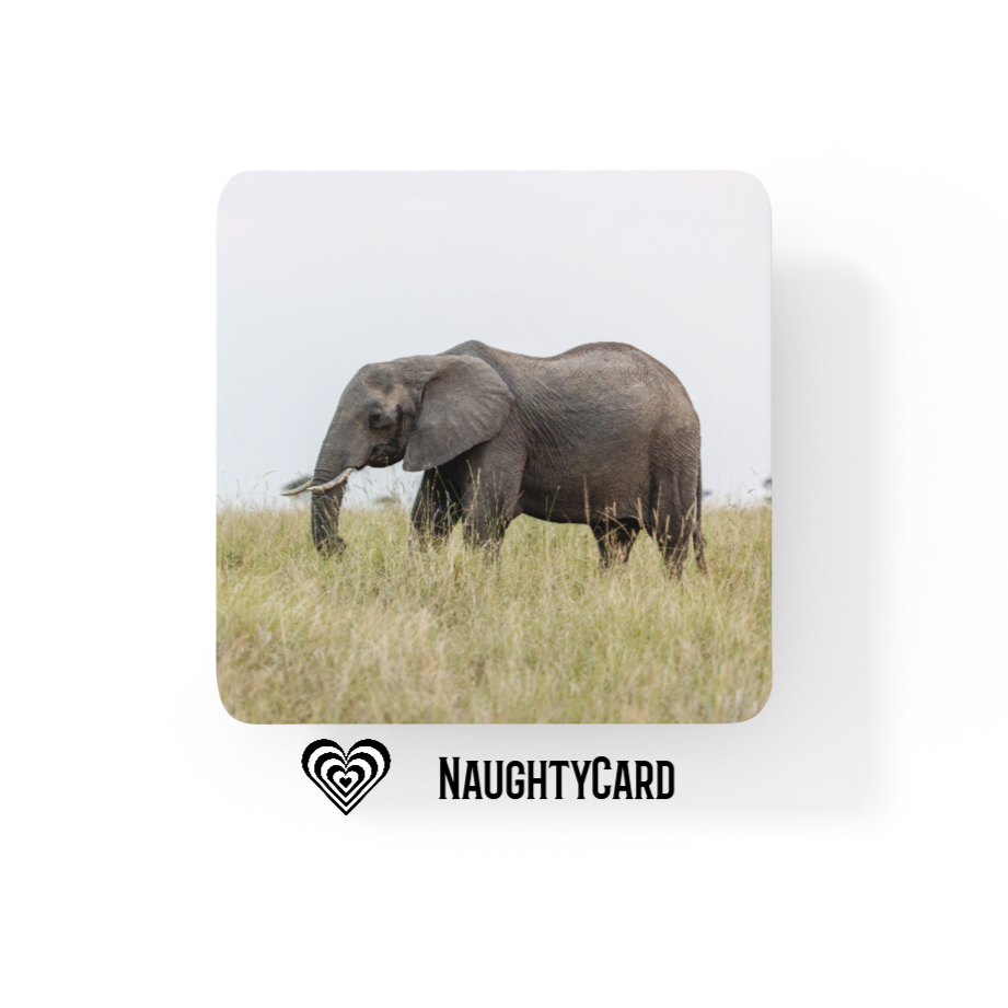 Elephant Glass Coaster 