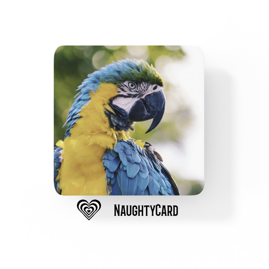 Macaw Glass Drinks Coaster