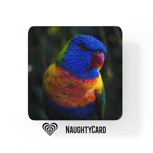 lorikeet coaster from naughtycard sale buy 3 get 1 free