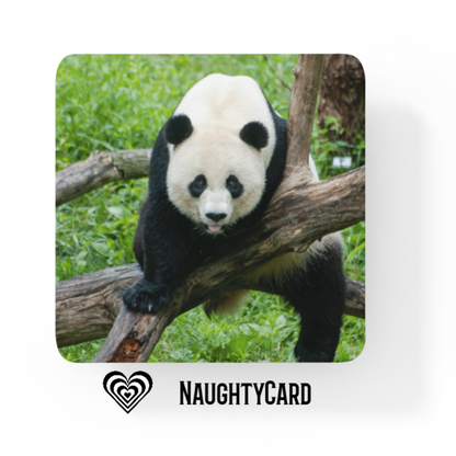 Panda on a glass coaster keepsake birthday gift