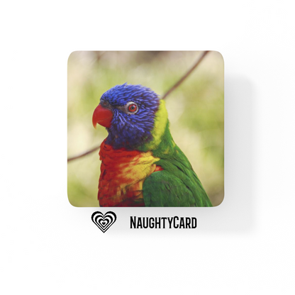 Rainbow Lorikeet Glass Coaster from NaughtyCard