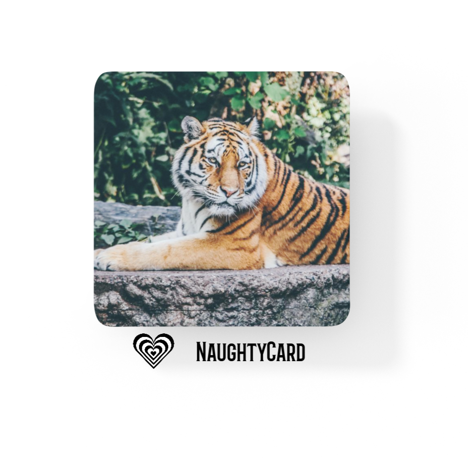 Tiger Glass Coaster Buy 3 get 1 free