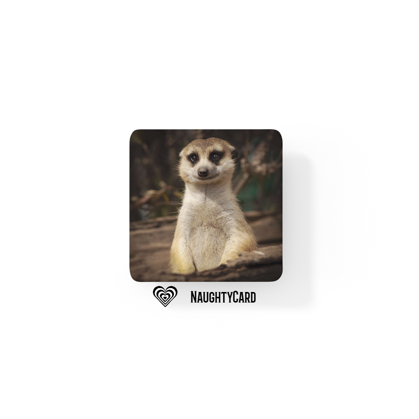 Animal Coaster From Naughty Card