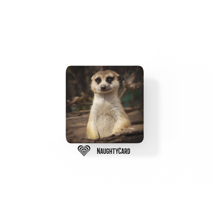 Animal Coaster From Naughty Card