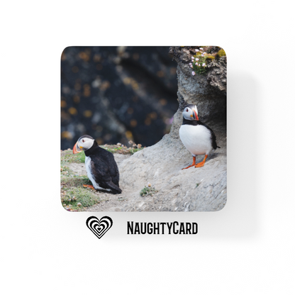 Puffin Animal Glass Coaster