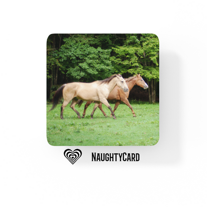 Two Horses Glass Coaster From NaughtyCard Sale now on