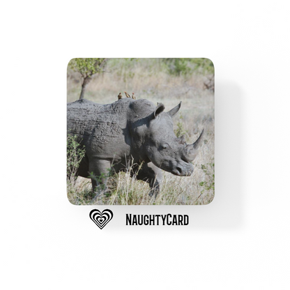 Rhino Drinks Coaster, NaughtyCard, Glass Coaster