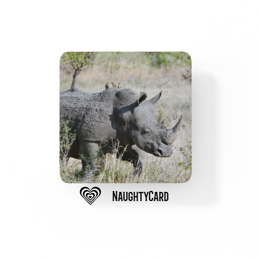 Rhino Drinks Coaster, NaughtyCard, Glass Coaster