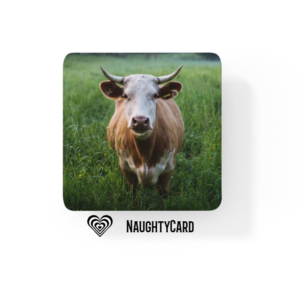 Cow Coaster - Glass Drinks Coaster 