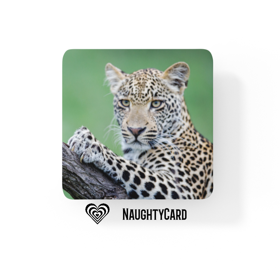 Leopard Glass Coaster Mix and Match Buy 3 Get 1 FREE