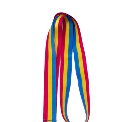 Pansexual Lanyard LGBTQ Pride