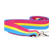 Pansexual Lanyard