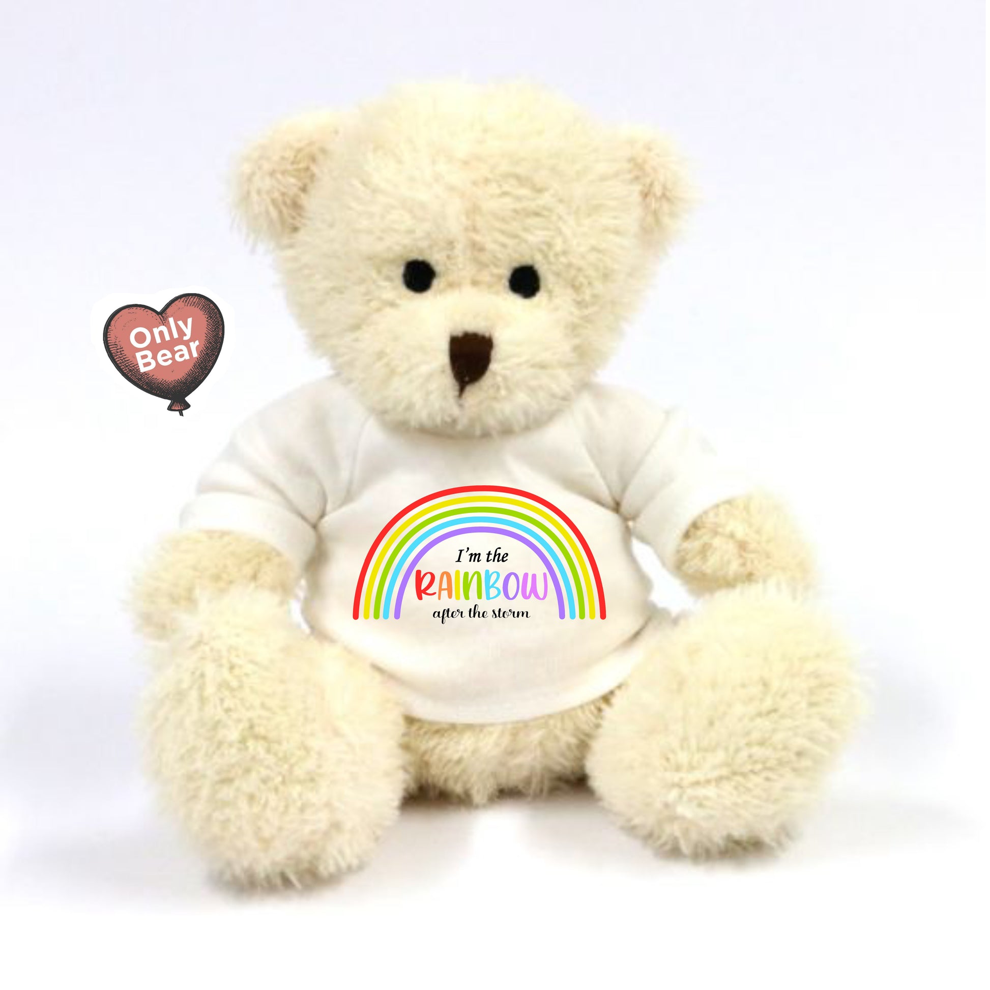 Rainbow Baby Gift - Teddy Bear - Only Bear